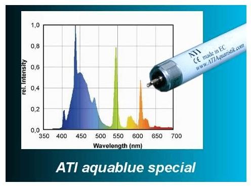 ATI aquablue special T5