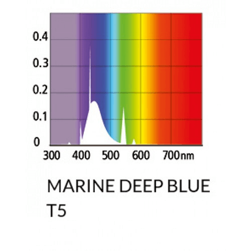 Arcadia Marine Deep Blue T5
