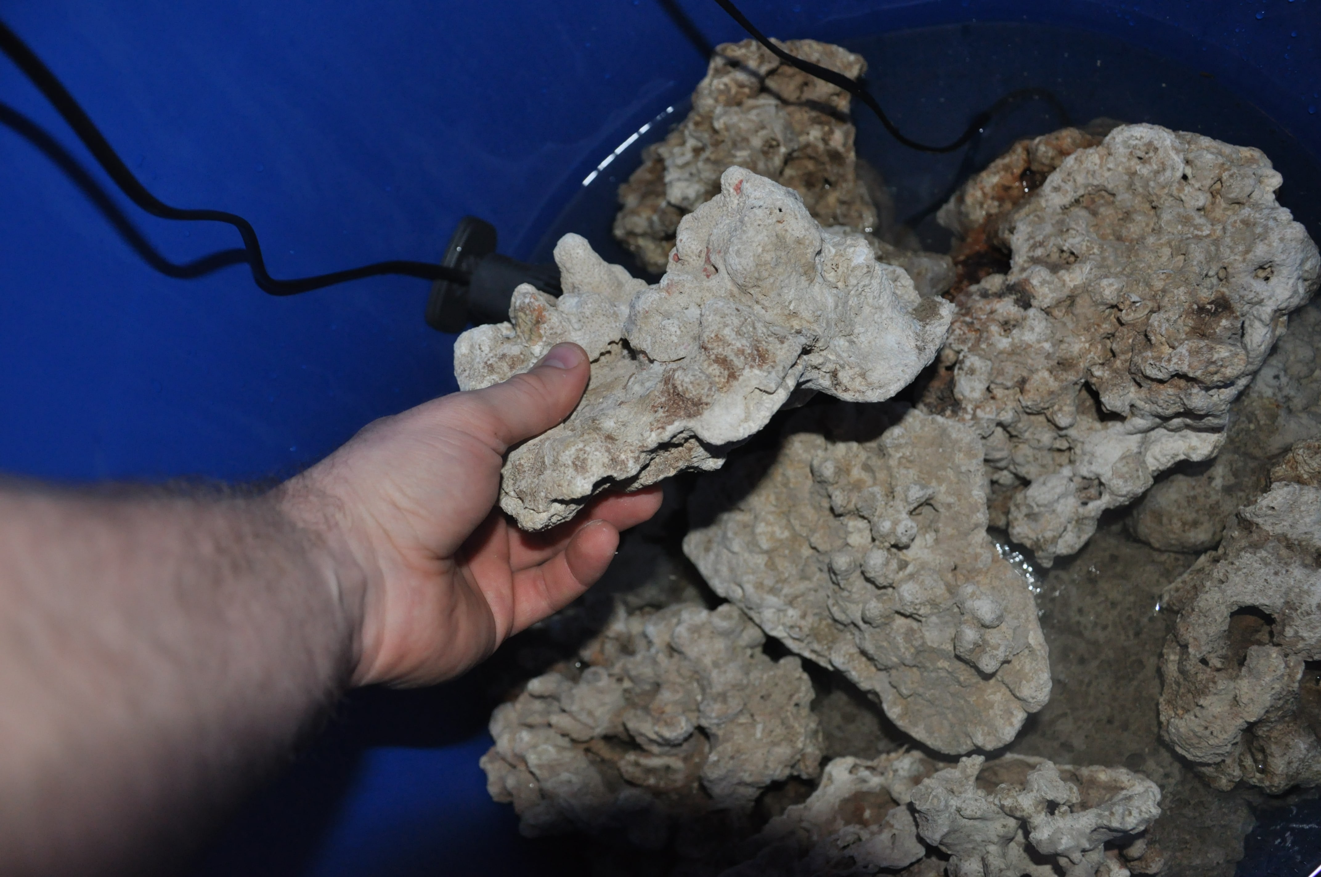 morskie kamni dlya akvariuma